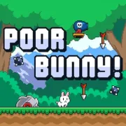 Poor Bunny